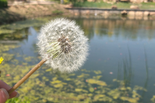 沈阳墓地较便宜的要多少钱，还有什么其他的费用？