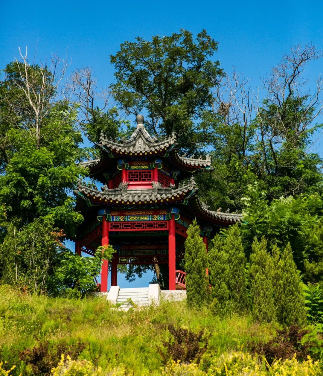 沈阳公墓心藏美好，龙生墓园手染芳菲 ,五一劳动节快乐！