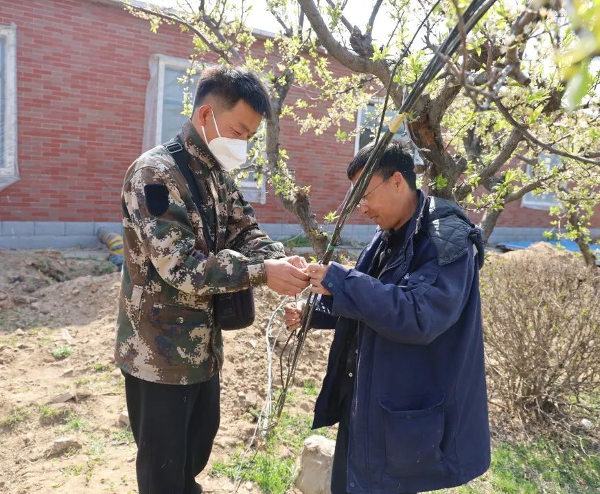 沈阳公墓心藏美好，龙生墓园手染芳菲 ,五一劳动节快乐！