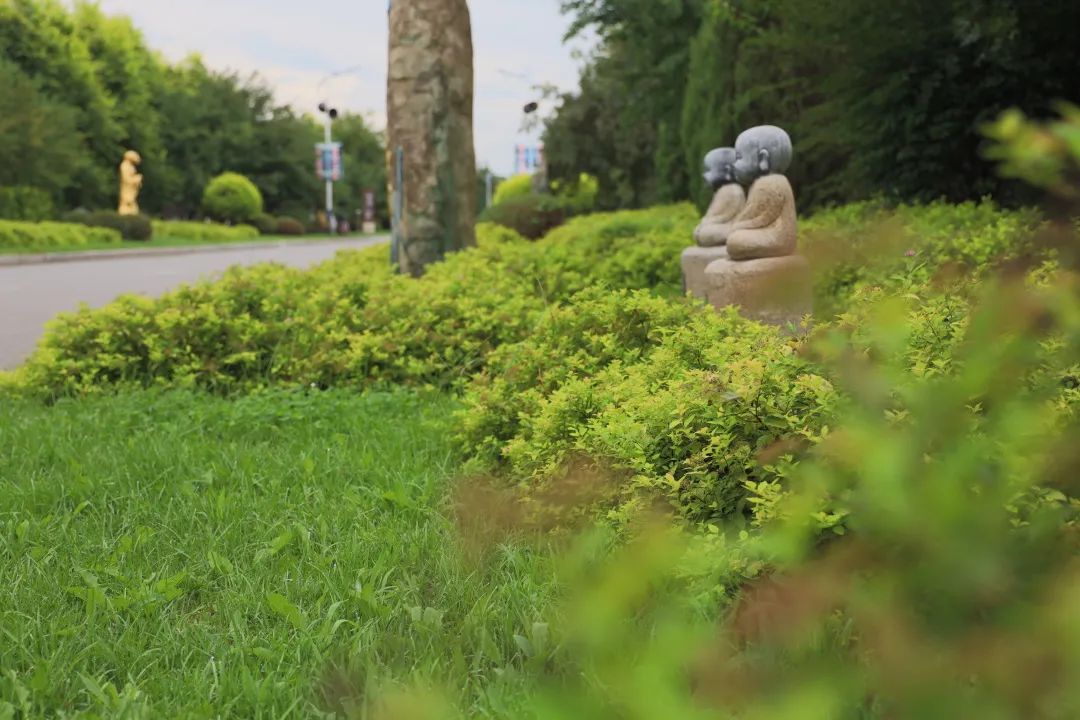 沈阳公墓心藏美好，龙生墓园手染芳菲 ,五一劳动节快乐！