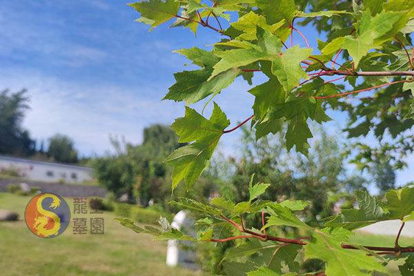 沈阳市龙生墓园