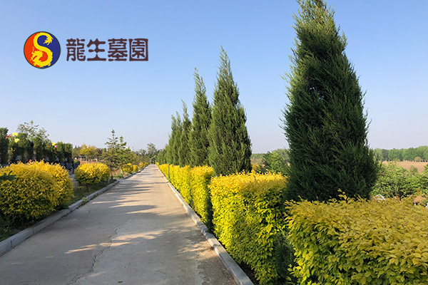 购买沈阳公墓前必备殡葬知识：全面了解，明智选择