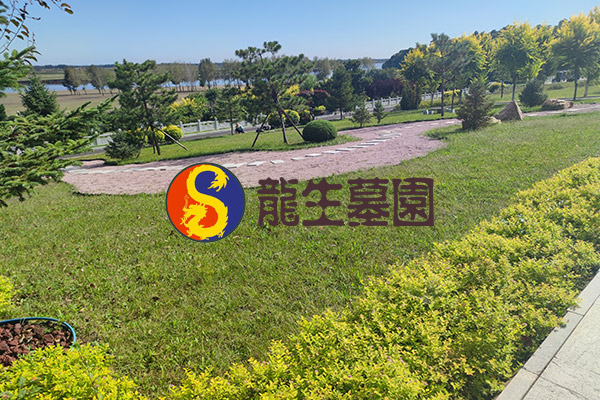 沈阳陵园花坛葬的园艺维护具体包括哪些内容和方法呢？